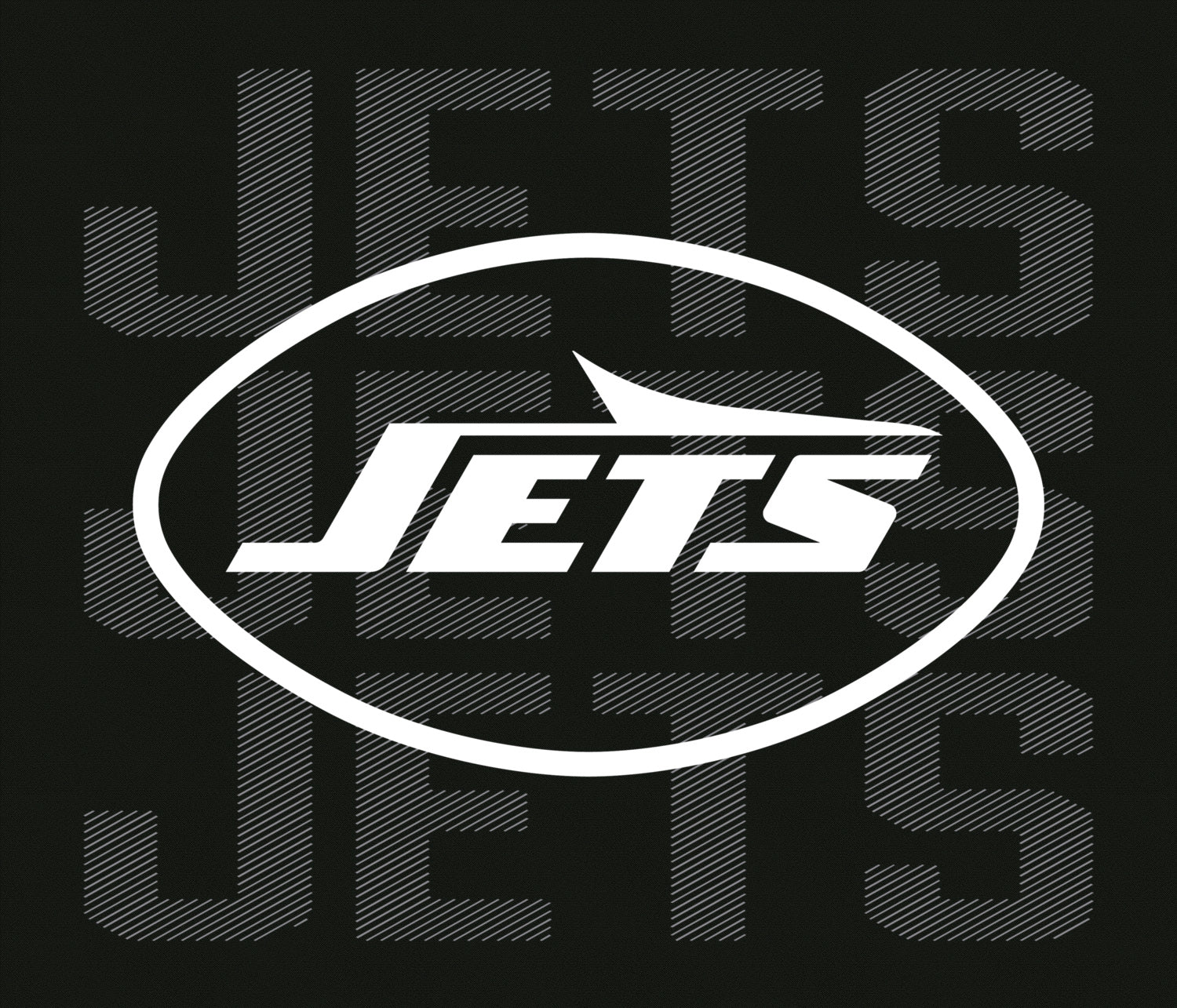 Zubaz NFL Men's Tonal Camo Line Back Panel Hoodie, NEW YORK JETS - Image 24
