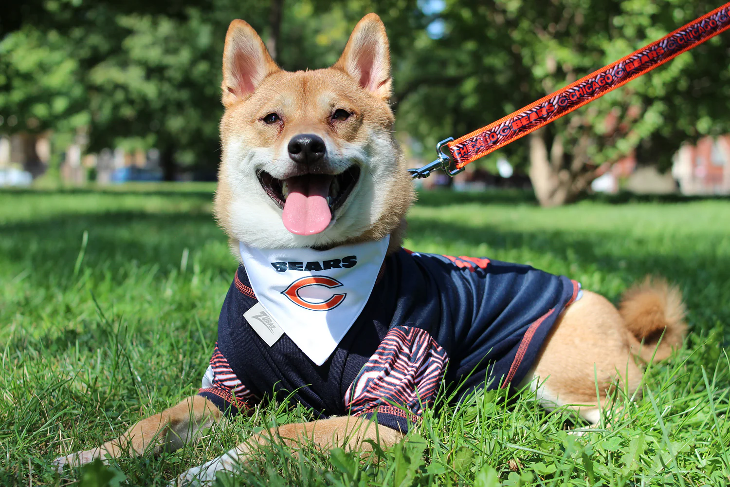 Zubaz X Pets First NFL Chicago Bears Team Pet T-Shirt For Dogs - Image 3