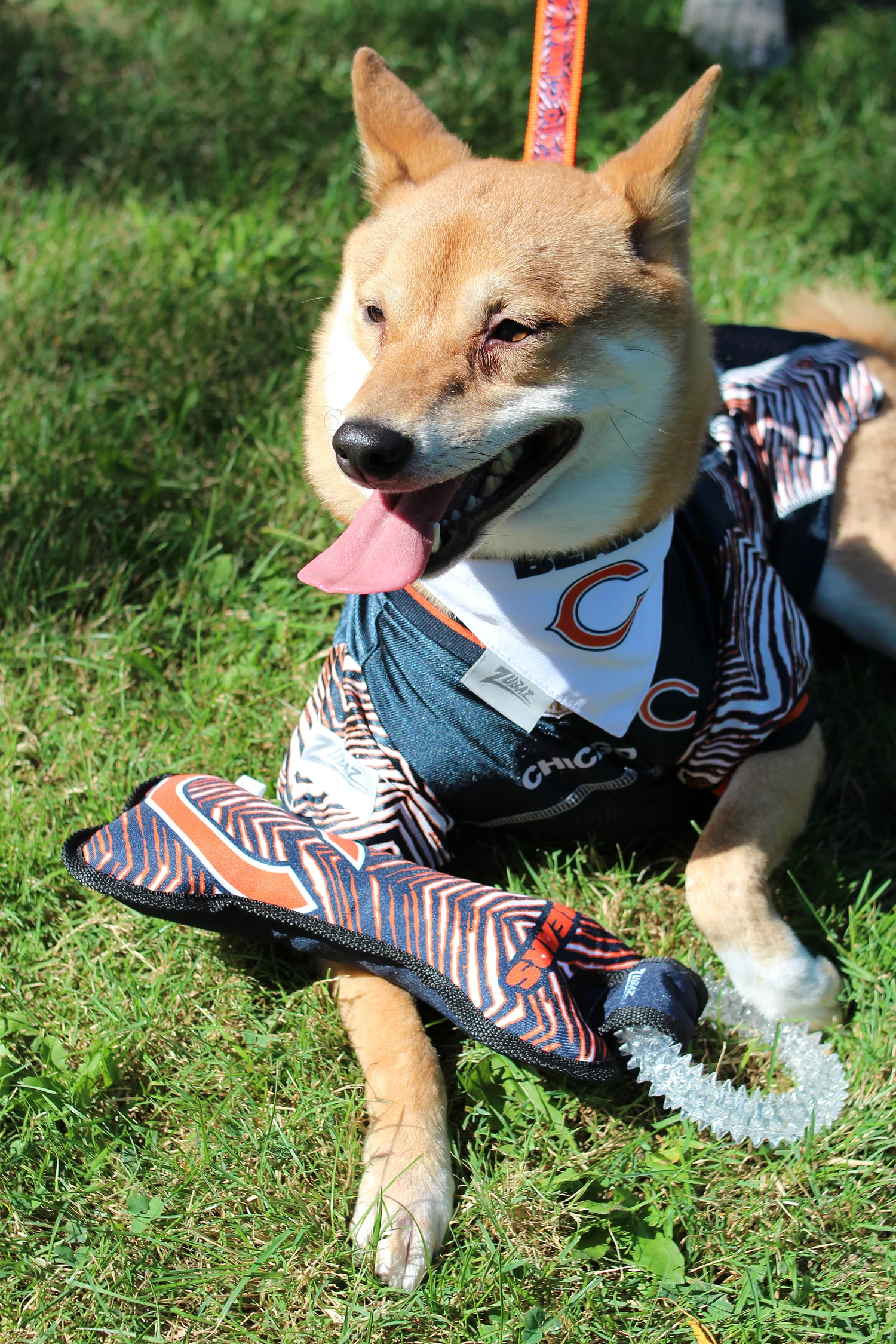 Zubaz X Pets First NFL Green Bay Packers Team Ring Tug Toy for Dogs - Image 3